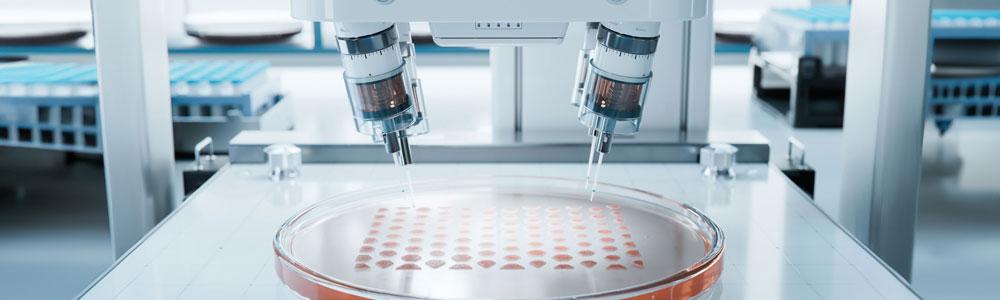 Petri dish being tested in a lab.