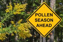 A sign saying 'Pollen season ahead' surrounded by flowers.