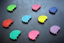 Different coloured cartoon brains laid out on a black background.