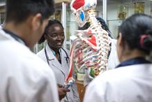 Young people examining a skeleton.