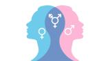 A graphic of two heads combining. One is pink witht eh feamle symbol and one is blue with the male sex symbol. Their heads meet and the intersection is a kind of dark blue. Both the male, female and non-binary symbols are represented here.