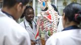 Young people examining a skeleton.