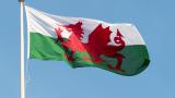 Welsh flag.