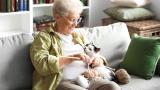 Old woman knitting with cat