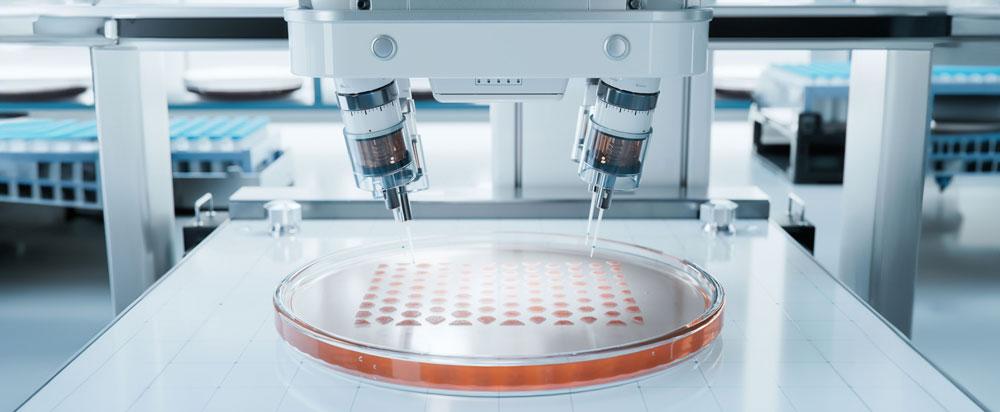 Petri dish being tested in a lab.