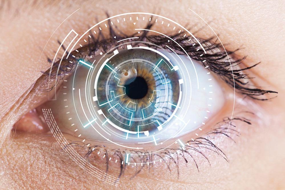 Eye